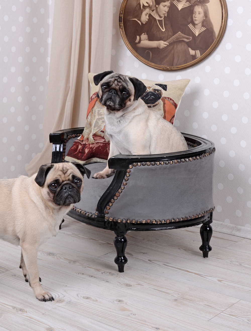 KÖNIGLICHES HUNDEBETT HUNDESOFA BAROCKSTIL MOPS BULLY SCHWARZ GRAU