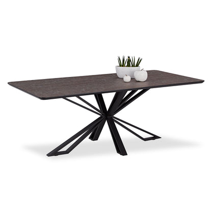 Esstisch 200x100 cm Industrial Style Schwarz Braun - Palo24