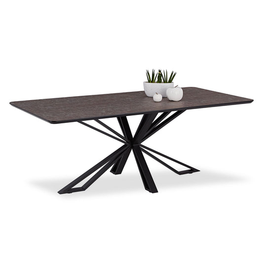 Esstisch 200x100 cm Industrial Style Schwarz Braun - Palo24
