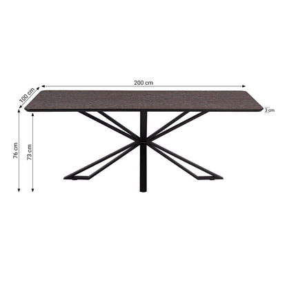Esstisch 200x100 cm Industrial Style Schwarz Braun - Palo24