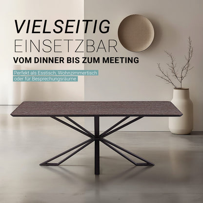 Esstisch 200x100 cm Industrial Style Schwarz Braun - Palo24