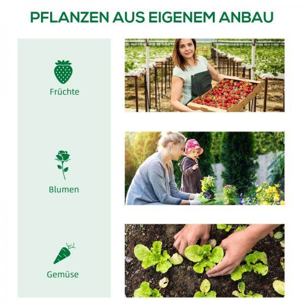Foliegewächshaus mit Fenster Treibhaus Tomatenhaus Frühbeet 180 x 90 x 70 cm Grün - Palo24