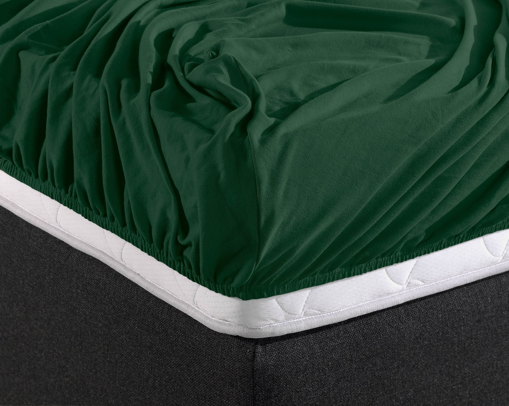 Einzel Jersey 135 gr. Spannbettlaken Botanisch Grün 140 x 200 cm - Palo24