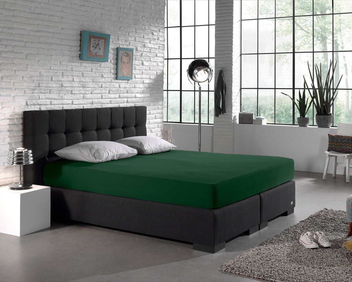 Einzel Jersey 135 gr. Spannbettlaken Botanisch Grün 160/180 x 200 cm - Palo24