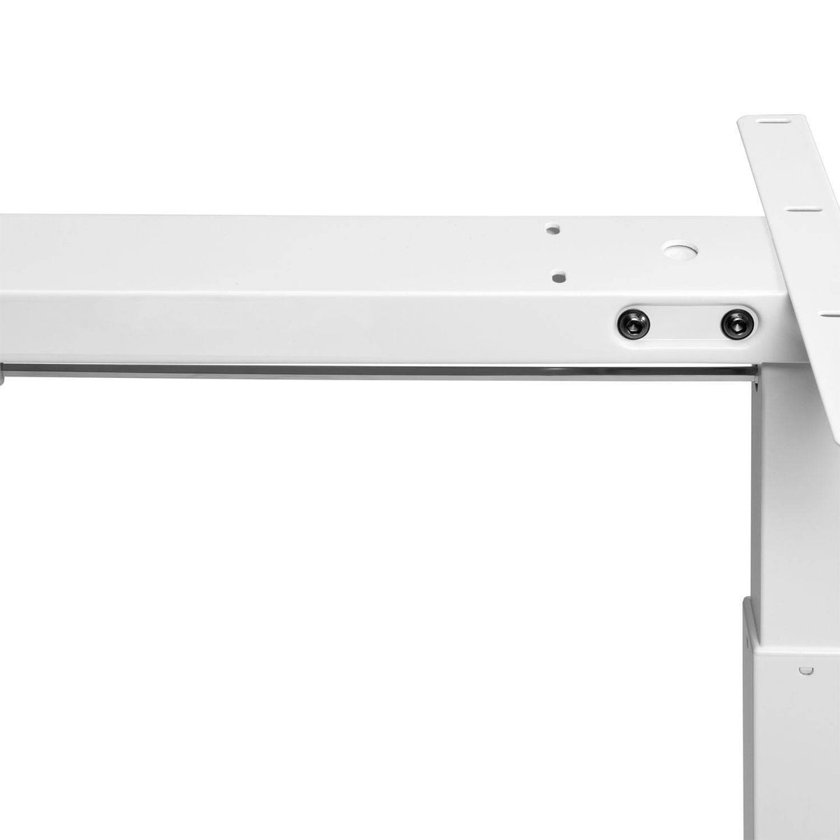 Elektrisch verstellbarer Schreibtisch 120x60 cm Weiss - Palo24