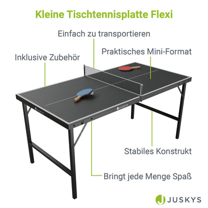Mini Tischtennisplatte Flexi mit Zubehör - Schwarz, Silber - Palo24