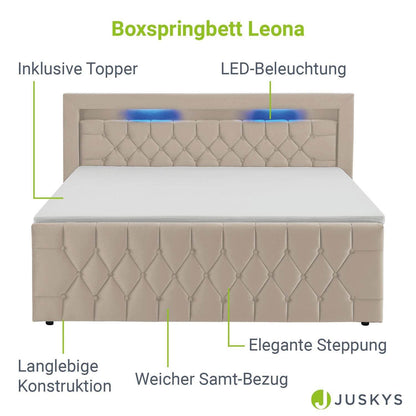 Boxspringbett Leona 140x200 cm - Beige - Palo24