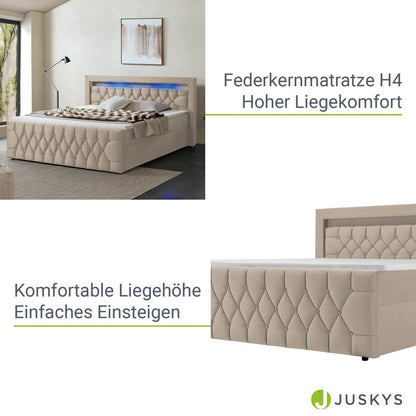 Boxspringbett Leona 140x200 cm - Beige - Palo24