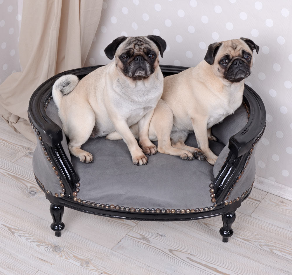 KÖNIGLICHES HUNDEBETT HUNDESOFA BAROCKSTIL MOPS BULLY SCHWARZ GRAU