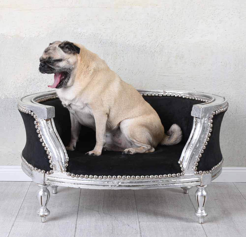 LIT ROYAL POUR CHIEN STYLE BAROQUE CANAPÉ POUR CHIEN BOIS CARLIN BULLY