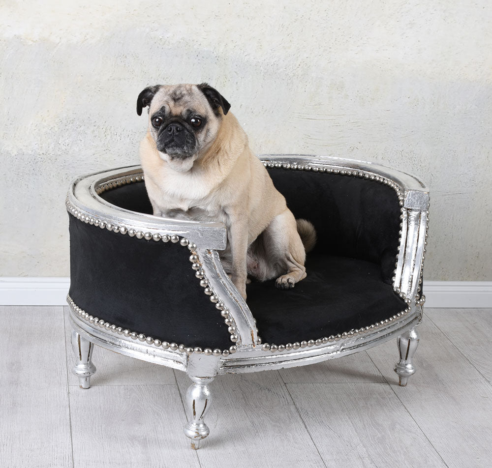 LIT ROYAL POUR CHIEN STYLE BAROQUE CANAPÉ POUR CHIEN BOIS CARLIN BULLY