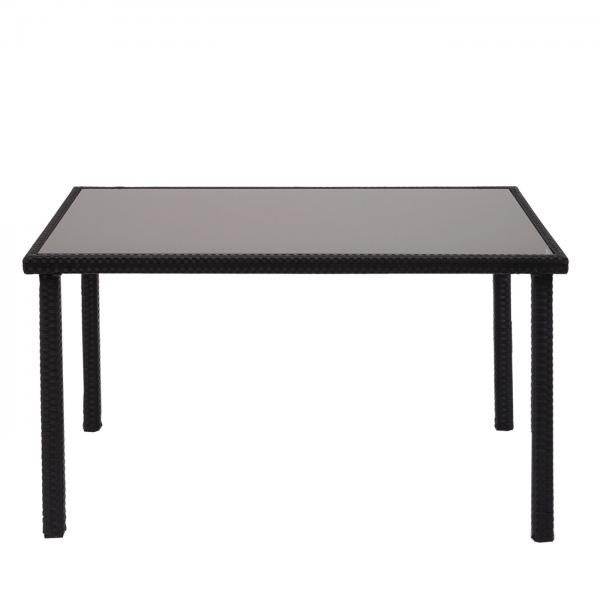 Poly-Rattan Tisch HWC-G19, Gartentisch Balkontisch, 120x75cm ~ schwarz - Palo24