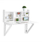 Wandklapptisch mit integriertem Regal | Wandschrank | Esstisch | Weiss FWT07-II-W - Palo24
