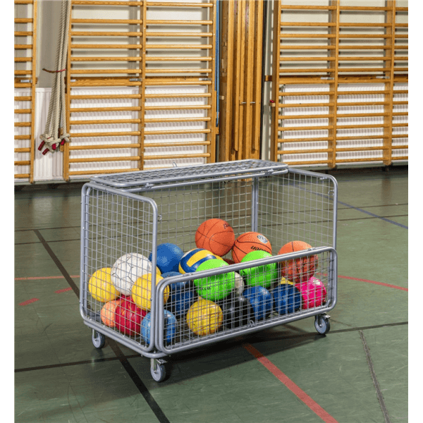 Gitterwagen bis 150kg belastbar, 4 Lenkrollen, 2 davon mit Bremse, grau - Palo24