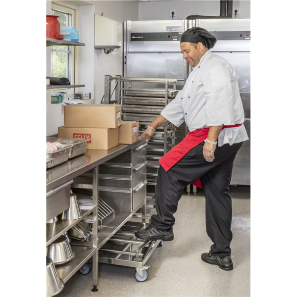 Edelstahl Plattformwagen mit höhenverstellbarem Griff, Klasse C2 Edelstahl 18/0 - Palo24